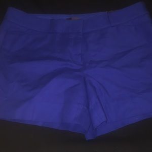 New Limited Royal Blue Chino Shorts💙